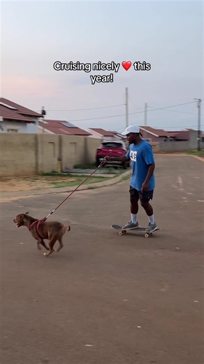 Skateboarding Pitbull: A Year of Fun and Training