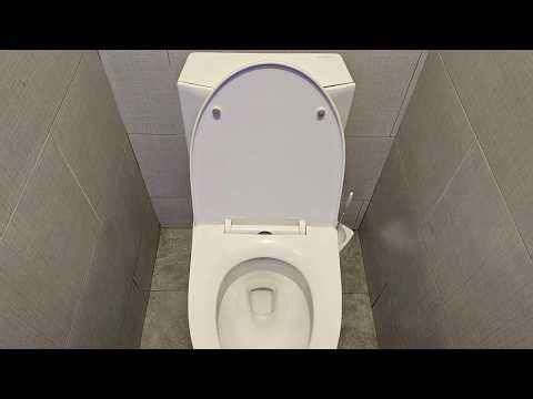 TR #113: Is It Worth Buying a New Swiss Madison St Tropez Vortex Dual Flush One Piece Toilet?