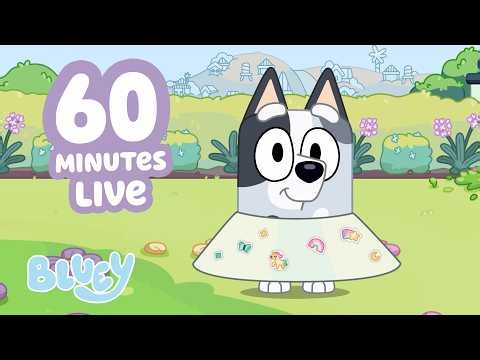 🔴LIVE: Time for Outdoor Games with Bluey and Family! 🍀💙 | Muffin Cone Clip + More! 🌟 | Bluey