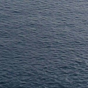 2.6K views · 61 reactions | New music from Paul Wilbur featuring Shae Wilbur drops this Friday!  Pre-save now: https://lnk.to/leastof #newmusicfriday #newmusicfridays #paulwilbur | Wilbur Ministries | Facebook