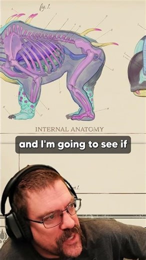 Do This In Outer Worlds 2