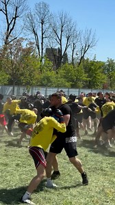 Hooligans Fighting on Reels