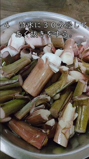 60秒で解説！ずいきの下処理 #shorts #タイロン農園 #ずいき #芋茎