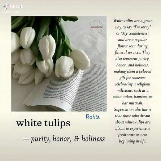 Tulip Meanings and Symbolism Explained
