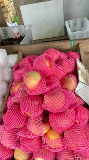 Belanja buah #shortsvideo #food #dailyvlog #minivlog #fypyoutube #xybca #belanja #buah