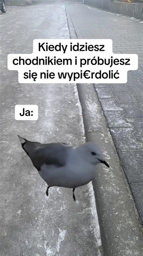 Kiedy Potykasz Się Na Chodniku - Zabawne Memes