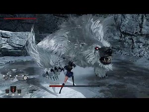 Vindictus Defying Fate Alpha - White Tyrant (Fiona)