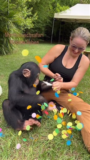 Moksha Bybee on Instagram: "Balloon phobia — officially called globophobia — is basically when your brain says, “Nope!” to party decorations."