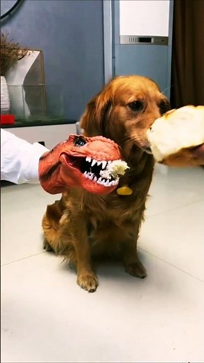 Dog vs Dinosaur 😱😂 | Funny Dog Short 🐶🦖 | Cute & Comedy#short #pets #cutedog
