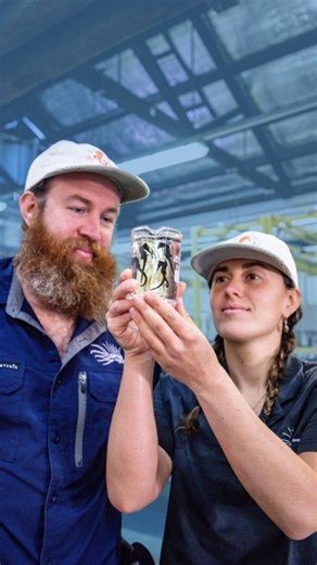 #sydneyseahorseproject #whiteseahorse #marineconservation #seahorserelease #sims | Sydney Institute of Marine Science