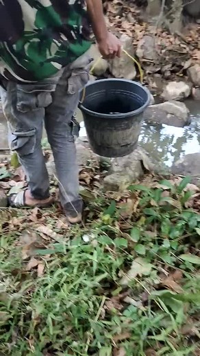 Water Collection Techniques from Natural Sources