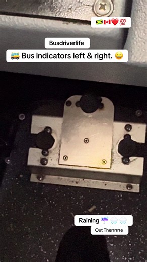Understanding Bus Indicator Signals for Safe Driving