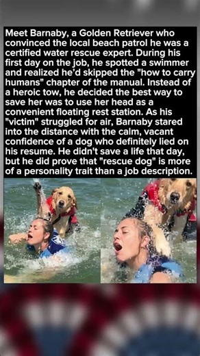 When You Fake Your Way into the Job