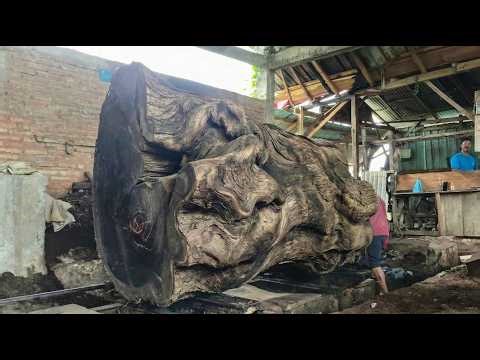 When a Giant Log Gets Stuck Inside the Sawmill Machine