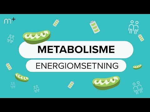 Anatomi og fysiologi: Cellens energiomsetning