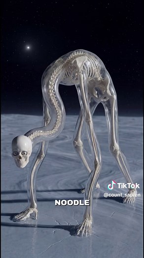 Human Evolution on Different Planets: A What If Scenario