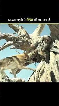 Ladke Ne bachai bhediyon ki jaan 😱 l #shorts #facts #movie