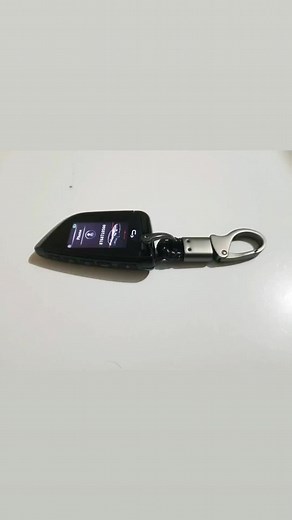 Smart Key With Keyring. Nice combo.