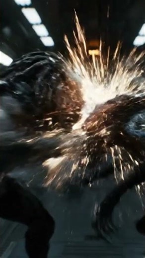 Predator vs alien fight scene