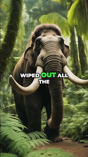 The Extinction of Megafauna