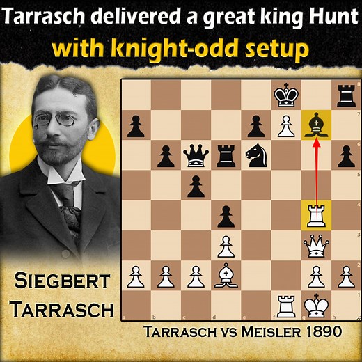 Tarrasch delivered a great king Hunt with knight-odd setup | Tarrasch vs Meisler 1890 | Kings Hunt
