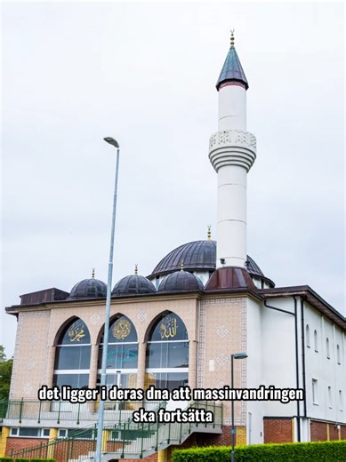 Sossarna älskar massinvandring så mycket att de kallar minskad invandring för ”etnisk rensning” 🤷‍♂️🤦‍♂️ #vågavägraetablissemanget #invandring #socialdemokraterna #fördig #integration