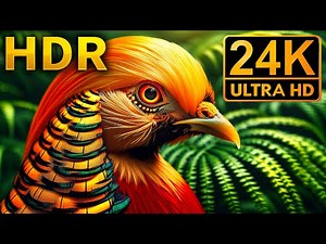 Nature’s Untouchable 24K Video ULTRA HD (HDR)