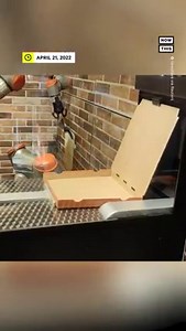 286K views · 42 reactions | A slice of the action! This Paris pizzeria went high-tech with its robotic chef and gave away pizzas to celebrate World Day of Creativity and Innovation  via NowThis | NowThis Food | Facebook