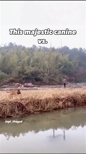 18M views · 346K reactions | When you are so used to flying in the...