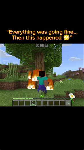 “My brain still hasn’t accepted this…What just happened? 😳”. #minecraft #shorts