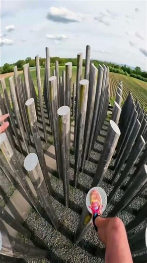 🪵 Wooden Stick Pyramid! 😲 Why 456 Logs Were Buried Like This! #shorts
