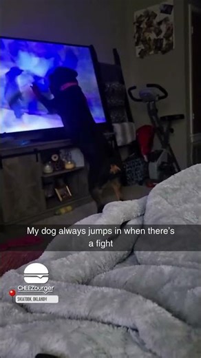 It's a sense of duty