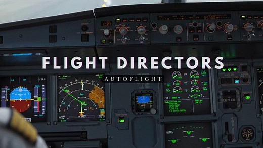 A320飞行指引仪Flight Director基础知识【中英】