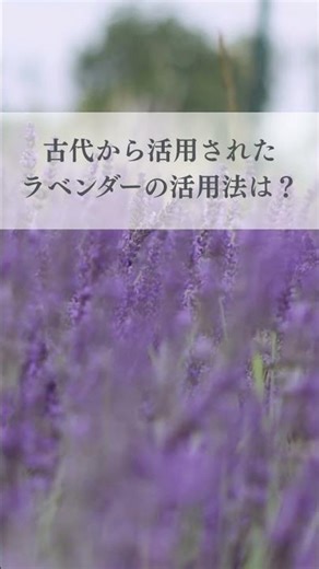 ラベンダーの活用法 こんな方におすすめ #アロマのある暮らし #心のバランス #睡眠 #痛みの緩和