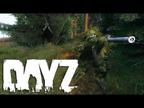 How To Use A Custom (Stretched) Resolution in DayZ!