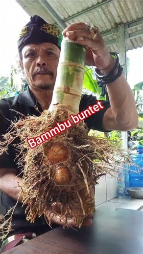 #viral#misteri#horor#bambu buntet