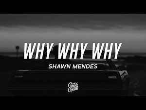 Shawn Mendes - Why Why Why (Lyrics)