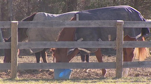 Pennsylvania Farm Show rodeo continues with strict measures against EHV‑1 outbreak