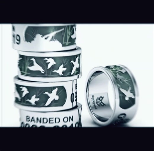 Duck Band Brand on TikTok
