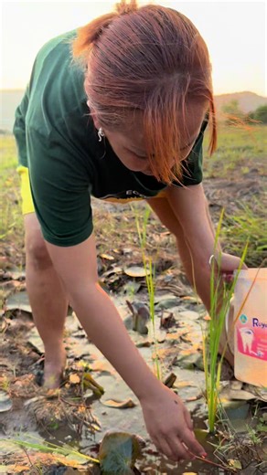 Smart Forest Survival Fishing Ideas