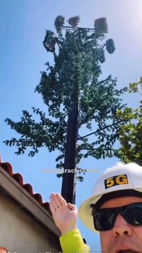 95 reactions · 12 shares | Why are they trying to hide it? . . #5g #tmobile #internet #woke #explore #explorepage #fyp #foryou | Conspiracies Awake | Facebook