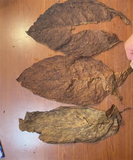 The full process #fyp #viraltiktok