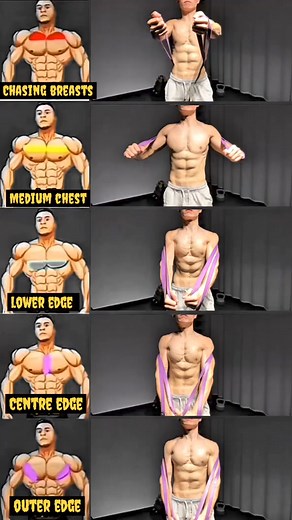 Chest Workouts - Best Exercises for Muscle and Strength ...