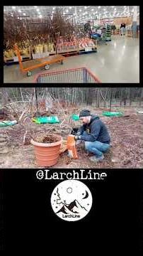 🌱 the EASY Orchard Planting!