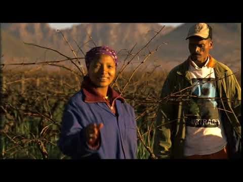 More4 ad breaks 4th Mar 2009 22:33