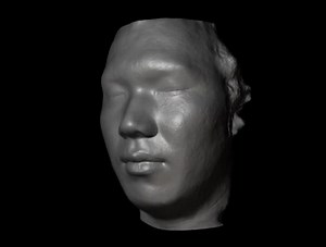 Multiview face capture using polarized spherical gradient illumination (SIGGRA