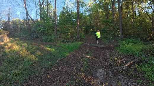 46K views · 551 reactions | Perfect for homeowners! You don't want to miss this! Fall Prime promotion going on now! Shop on Amazon: https://amzn.to/3VtH4fn #WildBadgerPower #PrimeFall #PrimeFallSale | Outdoors with Erik | Facebook