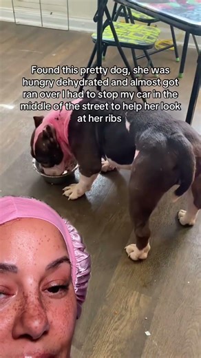 She Found a PINK Pitbull…