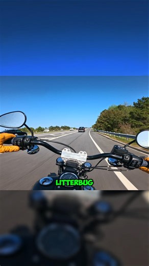 Dont be a litter bug Dispose of your trash properly Treebag's Chop Shop is booking custom paint jobs