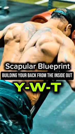THE SCAPULAR BLUEPRINT — Build Strength, Control, and Power From the Inside Out. #athlete #strength